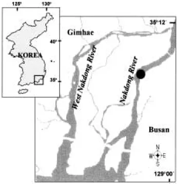 Fig. 1. Map of study site in the lower Nakdong River.
