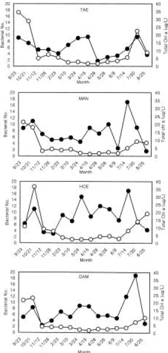 Fig. 3. Seasonal changes of bacterial number (×10 6  cells/
