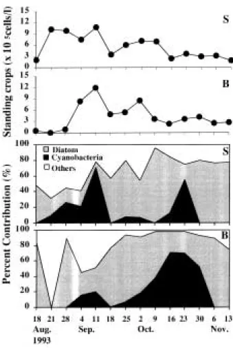 Fig. 4. Changes of DIN/P ratio and Si/P ratio in surface waters of Kyungan Stream in Korea from August 18 to November 13, 1993.