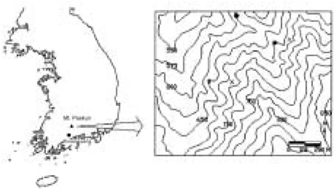 Fig. 1. Location map of sampling points for soil chemical ingredients and stream water quality (■ :  Harve-sted site, □ : Non-HarveHarve-sted site, ● : Upstream region of the Seomjin river, X : Soil chemical  in-gredients).