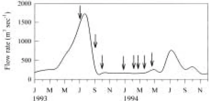 Fig. 2. Variation of inf low rate from Lake Paldang in the Han River, Korea. The arrows indicate sampling dates.