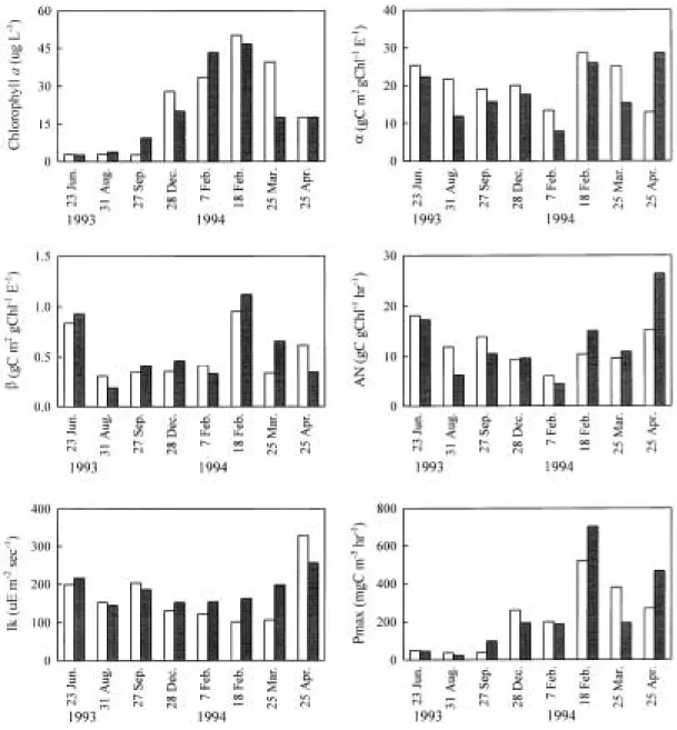 Fig. 4. Chlorophyll a concentraions, maximum phytosynthetic rate and P-I parameters (α ,  β , AN and Ik) at Sta