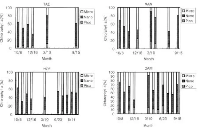Fig. 7. Percent of chlorophyll a concentration by size classes at TAE, MAN, HOE and DAM site.