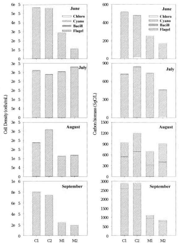 Fig. 3. Phytoplankton density and carbon biomass in different treatments (C1: control 1, C2 : control 2, M1 : mussel addition 1, M2 : mussel addition 2) of feeding experiment in Lake Ilgam between June and September 2000.