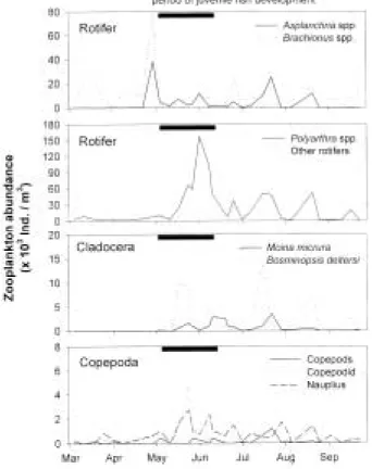 Fig. 1. Changes of juvenile fish (a) abundance and species composition, (b) mean body size, and (c) proportion of size class in the lower Nakdong River.