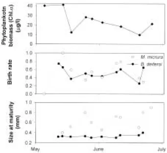 Fig. 5. Changes of phytoplankton biomass (chl. a), instan- instan-taneous birth rates, and maturity sizes (smallest size of individual containing eggs in the brood chamber) of two major cladoceran species (Moina micrura and Bosminopsis deitersi) in the Nak