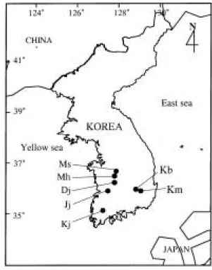 Fig. 1. Stations of urban drainages sampled in this study.