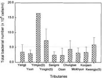 Fig. 3. Spatial distributions of total baterial number in the tributaries of the Kyongan Stream