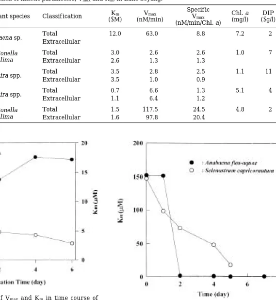 Fig. 1. The variation of V max and K m in time course of AP ase induction for natural plankton samples from