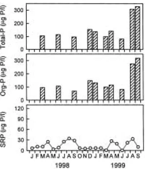Fig. 6. Monthly variation of chlorophyll-a concentration in the Kum River-Reservoir from January 1998 to September 1999.