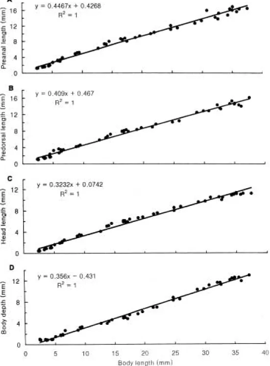 Fig. 6. Relative growths of the preanal f in length (A), predorsal f in length (B), head length (C) and body depth (D) against the body length of M