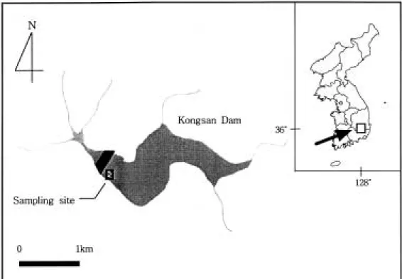 Fig. 1. A map showing the sampling site in Kongsan Reservoir.