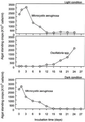 Fig. 2. The variation of Chl-a contents during incubation under a) the light condition and b) the dark  condi-tion.