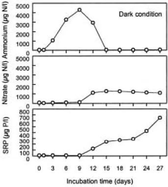 Fig. 5. The variation of algal N and SRP as a function of incubation time of natural algal population under the dark condition.