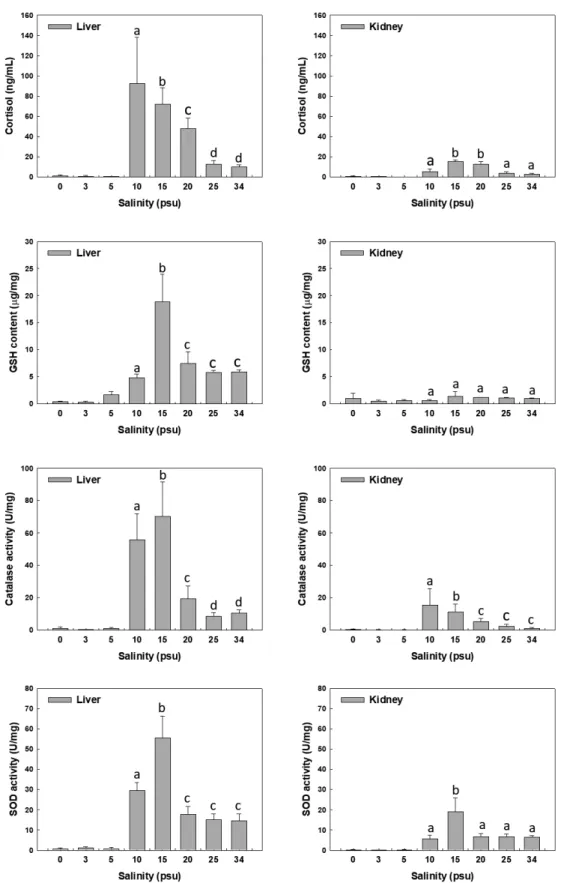 Fig. 3. Changes of cortisol, GSH, SOD and CAT in liver and kidney of the juvenile hybrid grouper Epinephleus akaara♀×E