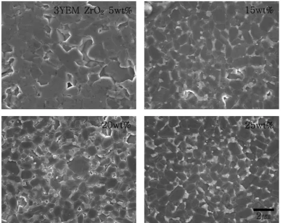 Fig. 4. SEM photographs of α-Al 2 O 3 /ZrO 2 (3YEH) composites sintered at 1600 o C for 2h.