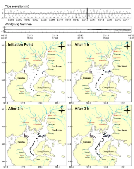 Fig. 4. Lagrangian trajectories of the floating buoys with tide elevation and wind vectors.