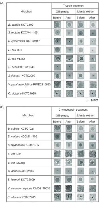 Fig. 3. Antimicrobial activity of the enzyme-treated crude extracts  of the blue mussel Mytilus edulis