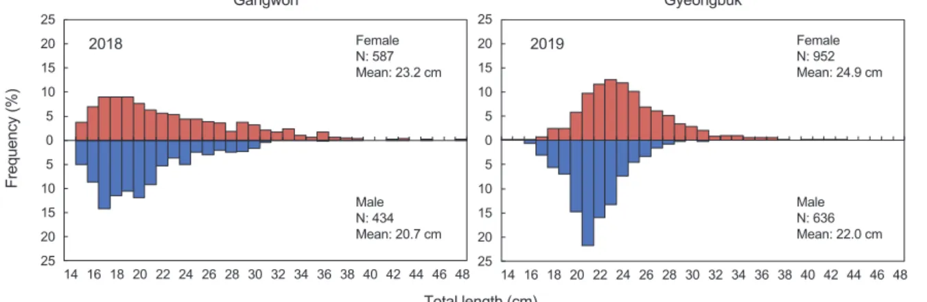 Fig. 3. Length-frequency distribution of the yellow striped flounder Pseudopleuronectes herzensteini in the coastal waters off Gangwon and  Gyeongbuk