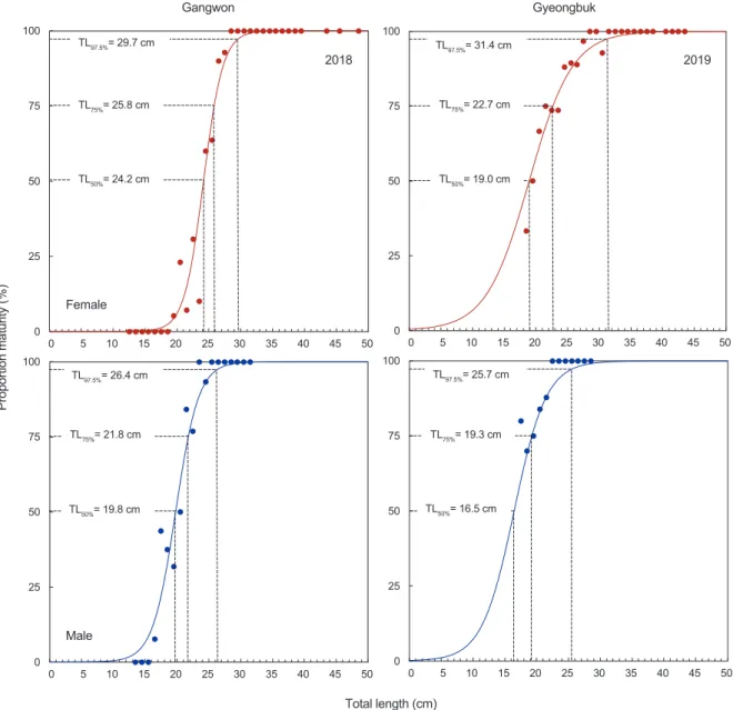 Fig. 8. Relationship between total length and group maturity of the yellow striped flounder Pseudopleuronectes herzensteini in the coastal  waters off Gangwon and Gyeongbuk.
