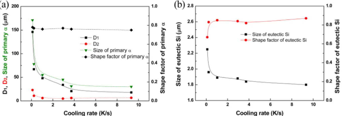 Fig. 3. (a) D 1 , D 2 , size and shape factor of primary  α phases and (b) size and shape factor of eutectic Si with changing cooling rate