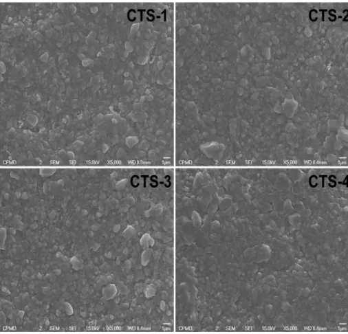 Fig. 6. (a) J-V characteristics and (b) EQE spectra of CTS thin films solar cells with different selenium amount respectively.