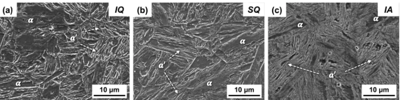Fig. 5. X-ray diffraction patterns of the IQ, SQ, and IA specimens for the Fe-6.5Mn-0.08C medium-manganese steel.