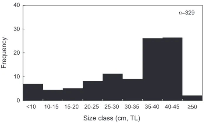 Fig. 2. Length-frequency distribution of chub mackerel Scomber  japonicus collected in the coastal waters of the South Sea of Korea.