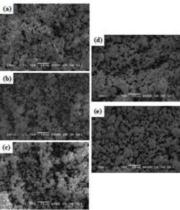 Fig . 3. SEM im ag es  of synthes ized (a) NP LW, (b) N P LW: Y b 0 . 3 5 H o 0 . 0 5 , ( c )   N P LW: Y b 0 