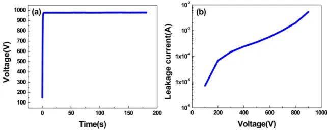Fig. 4. Schematic representation showing the structure and appearance of high-voltage Al electrolytic capacitor element.