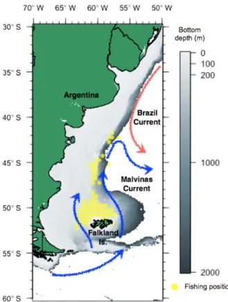 Fig. 2. Spatial distribution of Korean squid-jigging fishing position  (2016-2020) on the Argentinean continental shelf with the warm  Brazil Current (red) and the cold Malvinas Current (blue)  (Cur-rents flow modified from Pierini et al., 2016)