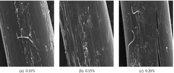 Fig. 15 Microstructure analysis of polyolefin based macro fiber surface in fly ash cement matrix with jute fiber volume fraction (×100)