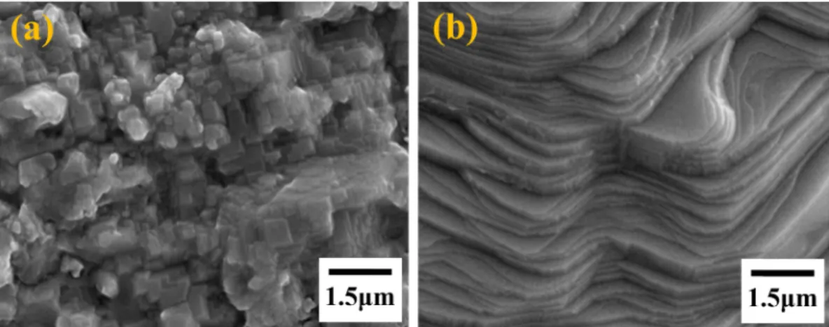 Fig. 5. The grain growth behavior of BT coating layer on (c) ST (100) and (d) ST (110).