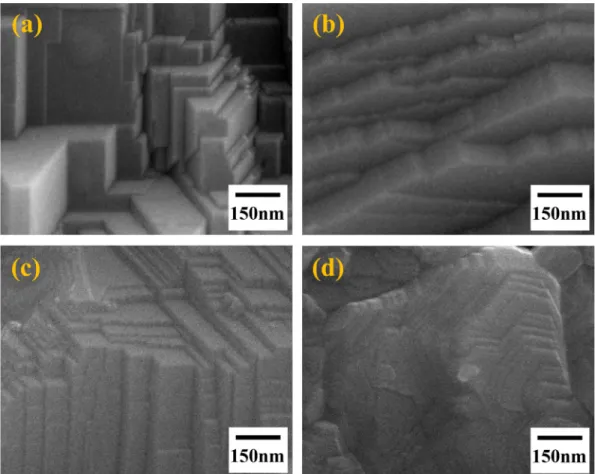 Fig. 7. XRD patterns of BT film heat treated at 1,300 o C for 5 h on (a) ST (100) and (b) ST (110).