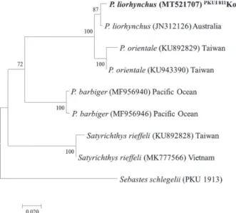 Fig. 3. Neighbor joining tree based on partial mitochondrial DNA  cytochrome  oxidase  subunit  I  sequences,  showing  the   relation-ships among four Peristediidae species, and one outgroup  (Se-bastes schlegelii)