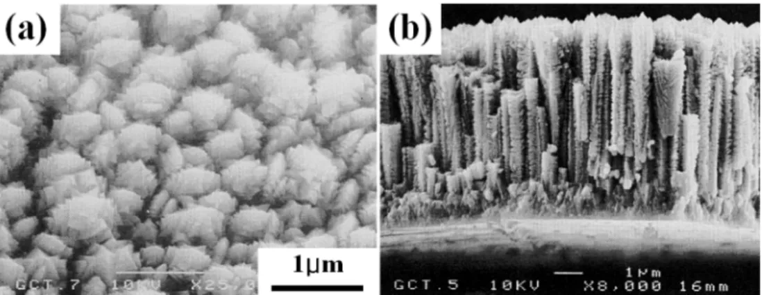 Fig. 3. Growth morphology of black titanium films deposited at a pressure of 12 Pa: (a) surface and (b) cross-sectional microstructures.