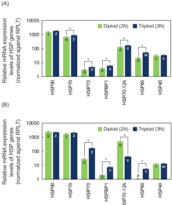 Fig. 1. Basal mRNA expression levels of selected heat shock re- re-sponse genes at 19ºC in the gill (A) and hepatopancreas (B) of  dip-loid and tripdip-loid abalone Haliotis discus hannai juveniles