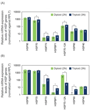 Fig. 2. Differential expression of HSP genes in response to acute  thermal challenge (elevation of water temperature from 19ºC to  30ºC) in the gill of diploid and triploid abalone Haliotis discus  han-nai juveniles