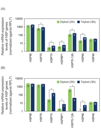 Fig. 3. Differential expression of HSP genes in response to acute  thermal challenge (elevation of water temperature from 19ºC to  30ºC) in the hepatopancreas of diploid and triploid abalone  Hali-otis discus hannai juveniles