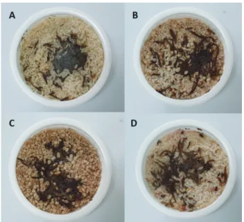 Table 2. Proximate composition of ready-to-heat (RTH) cooked rice with seaweed RTH 1