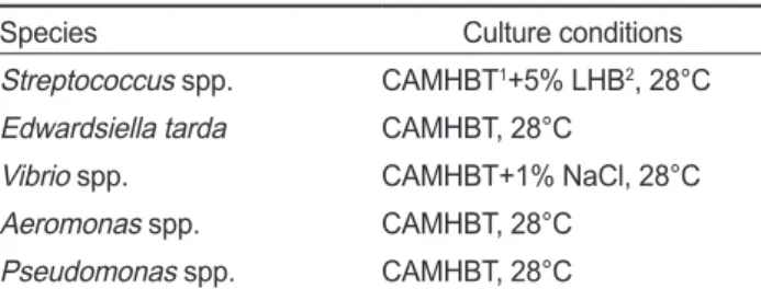 Table 5. MIC results for representative fish pathogenic bacteria in optimized culture conditions of the KRAQ1 panel determined in this study Optimizing 