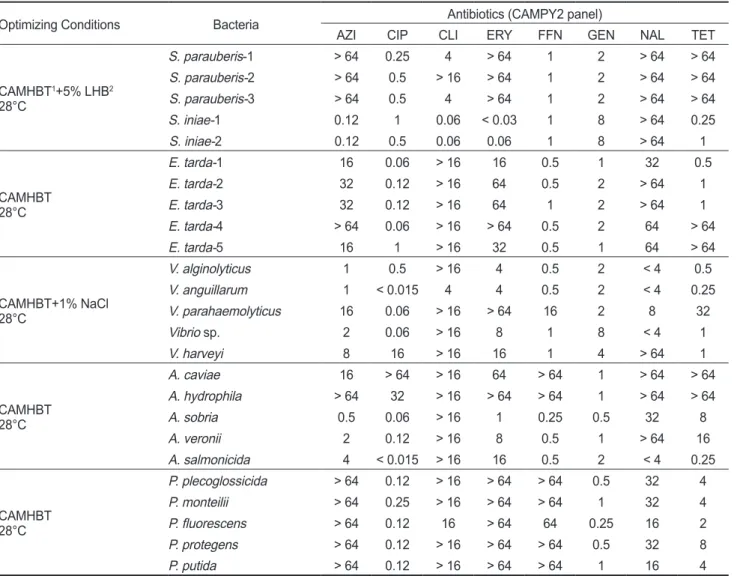 Table 6. MIC results for representative fish pathogenic bacteria in optimized culture conditions of the CAMPY2 panel determined in this  study