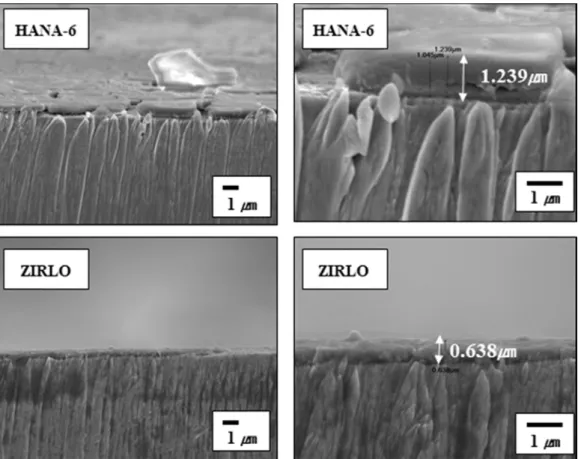 Fig. 9. The SEM analysis of cross section of Zr cladding tube after pickling process.
