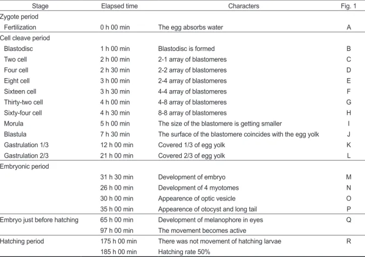 Table 1. Eggs development of Hemibarbus longirostris at water temperature 19.0±1.0°C