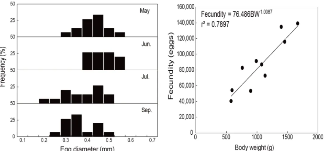 Fig. 11. Size frequency distribution of egg diameter with the progression in different mature stage of Octopus vulgaris during spawning  period (left)