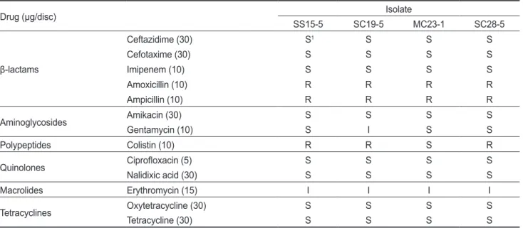 Table 5. Characterization to confirm Vibrio parahaemolyticus among 17 isolates Standard 1 KCTC  2471 Isolate 1 2 2 3 4 5 6 7 8 9 10 11 12 13 14 15 16 17 Salinity  tolerance (%) 0 - - - - - - - - - - - - - - - - - - -3++++++++++++++++++ +8+-----------------