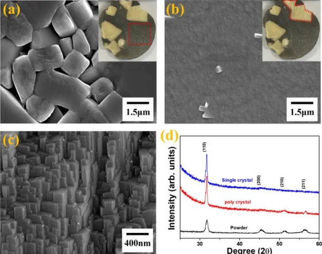 Fig. 5. (a) Dielectric properties and (b) P-E hysteresis results of NKN single crystal oriented along <110>.