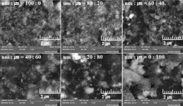 Fig. 8. FE-SEM images of 3D-printed objects with different ZrO 2  ceramic particle ratio (high magnification).