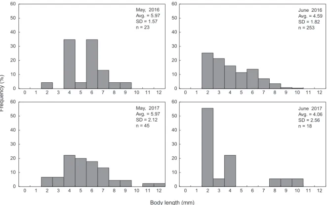 Fig. 5. Body length frequency distributions of Scomber japonicus larvae collected in May and June, 2016-2017