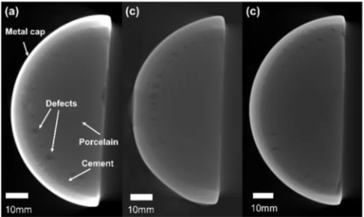 Fig. 4. X-ray 3D CT images of the half-cut aged porcelain insulators (a) K-1, (b) K-2, and (c) K-3